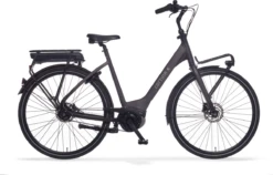 Cortina E-Common Belt 2023