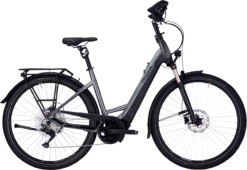 Pegasus Premio EVO 10 Lite Comfort