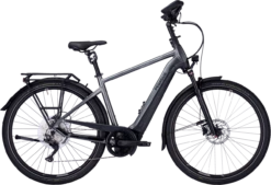 Pegasus Premio EVO 10 Lite Comfort -Goedkope Efiets Kopen Winkel pegasus premio evo 10 lite comfort heren grijs