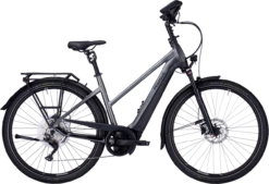 Pegasus Premio EVO 10 Lite Comfort -Goedkope Efiets Kopen Winkel pegasus premio evo 10 lite comfort trapeze grijs