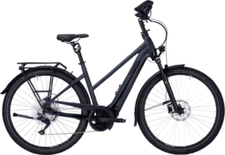 Pegasus Premio EVO 10 Lite Comfort -Goedkope Efiets Kopen Winkel pegasus premio evo 10 lite comfort trapeze zwart