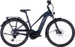 Pegasus Premio EVO 11 "40 Years" -Goedkope Efiets Kopen Winkel pegasus premo evo 11 40 years zwart trapeze