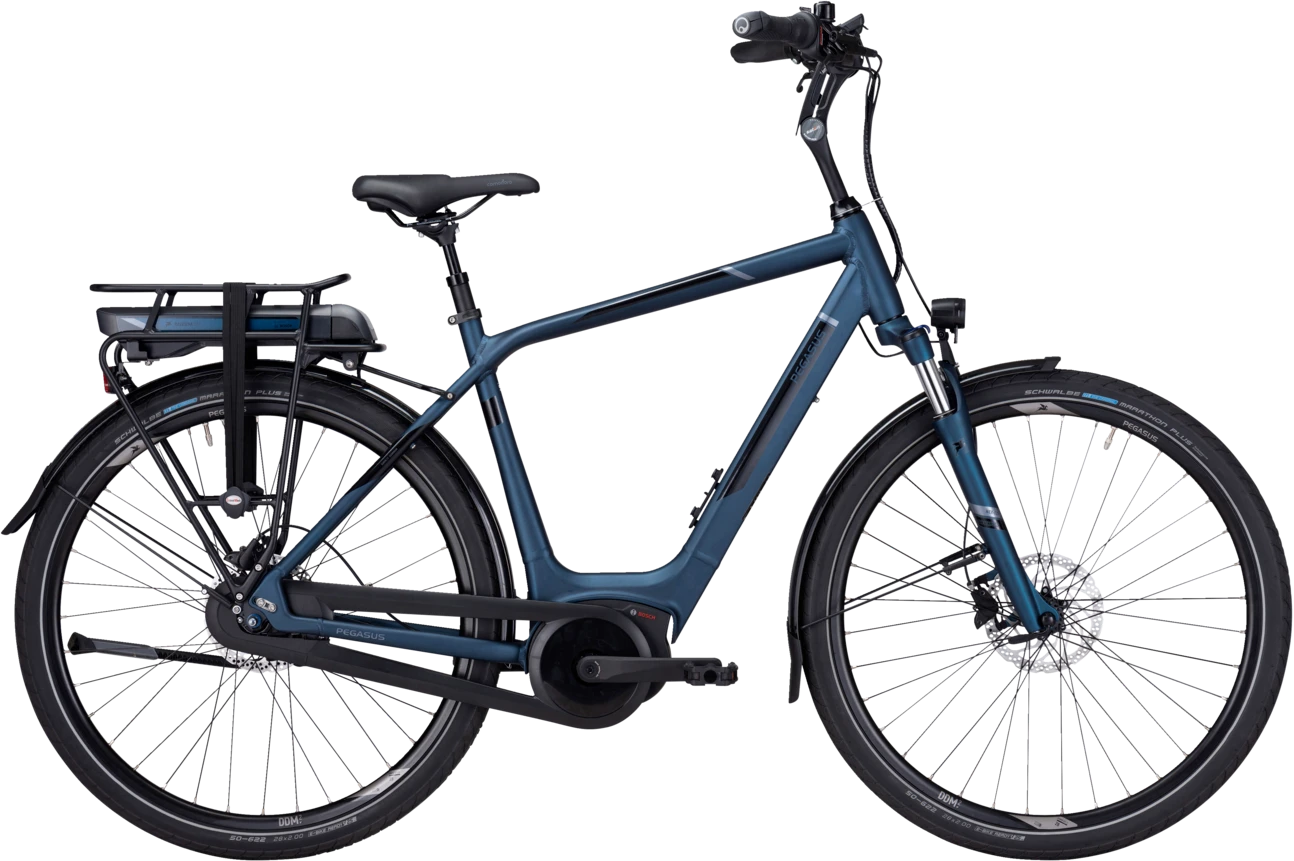 Pegasus Ravenna E8F 2 Pegasus Ravenna E8F - Afbeelding 2