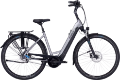 Pegasus Ravenna EVO 5 Belt