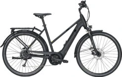 Pegasus Solero EVO 9 2021