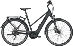 Pegasus Solero EVO 9 2021