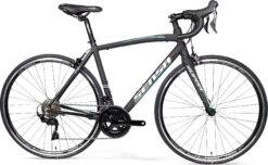 Sensa Latina LTD 105 2022